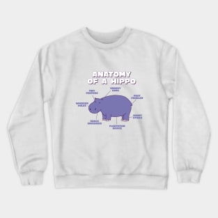 Anatomy Of A Hippo Sweet Hippo Explanation For Zoo Lovers Crewneck Sweatshirt